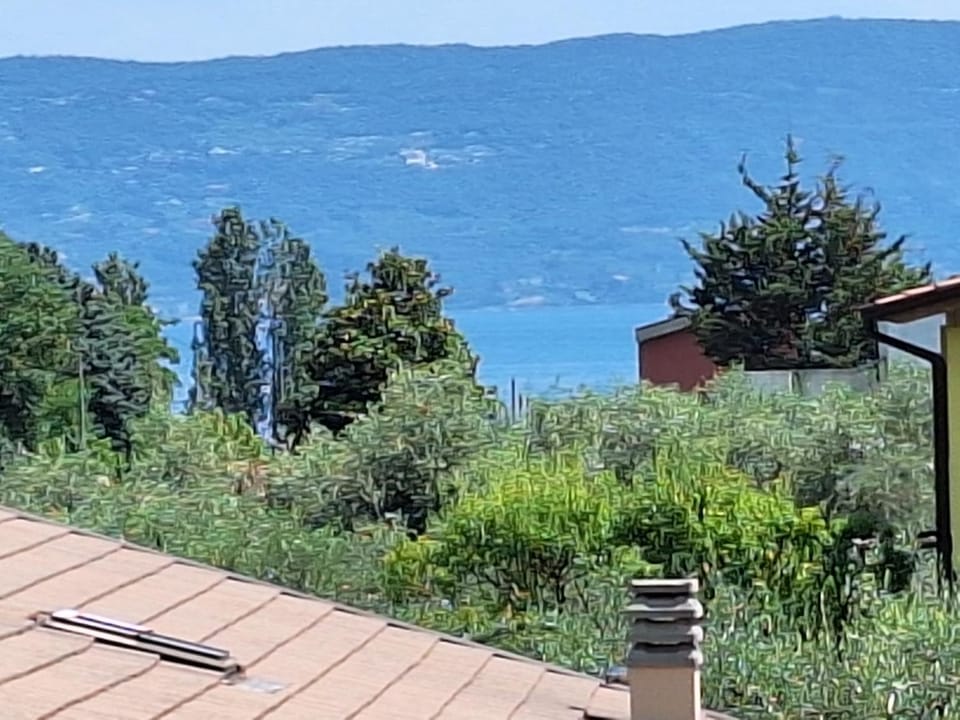 Lake view