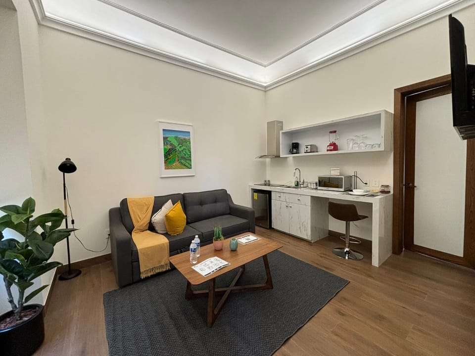 TV and multimedia, Kitchen or kitchenette, Living room, Seating area, minibar