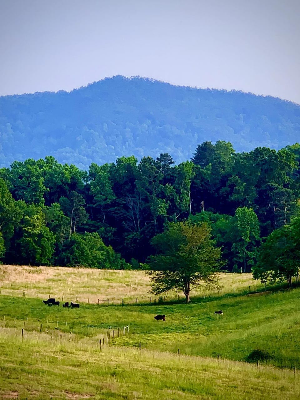 Natural landscape, Mountain view