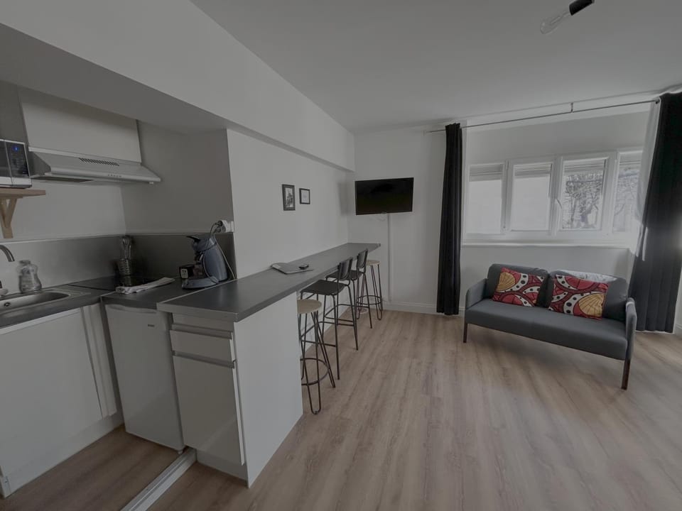 Le Manhattan Monkey :au coeur du centre historique Apartment in Dijon