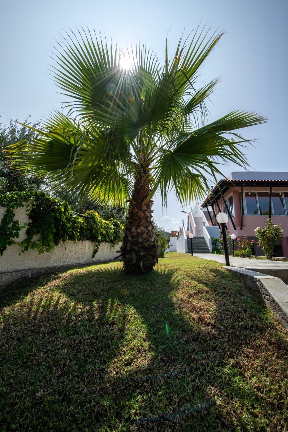 Day, Natural landscape, Garden, Garden view