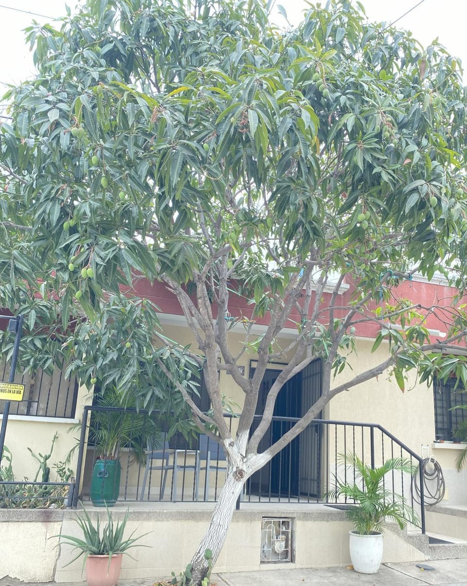 Facade/entrance, Day