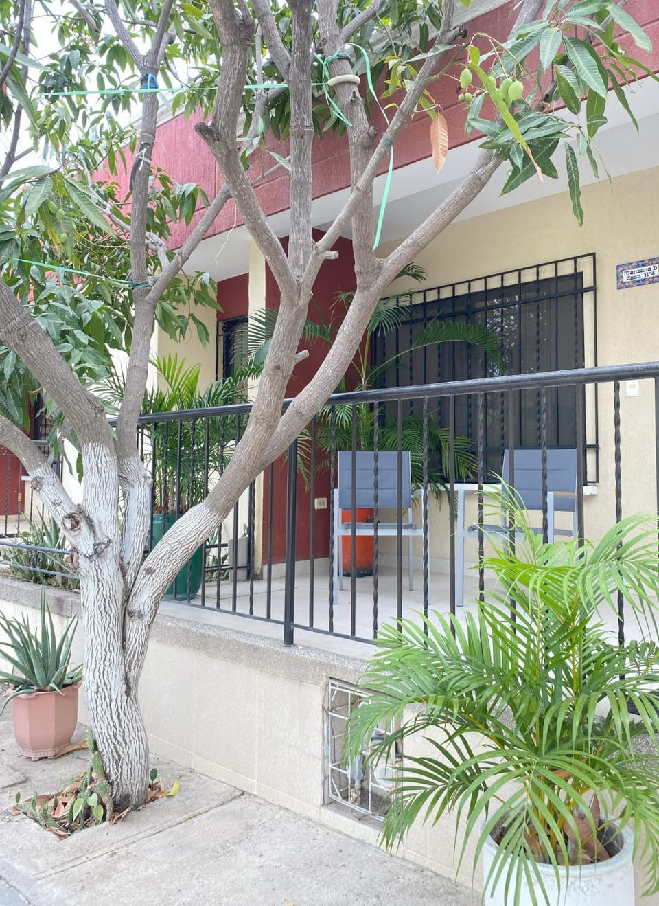 Facade/entrance, Garden, Garden view