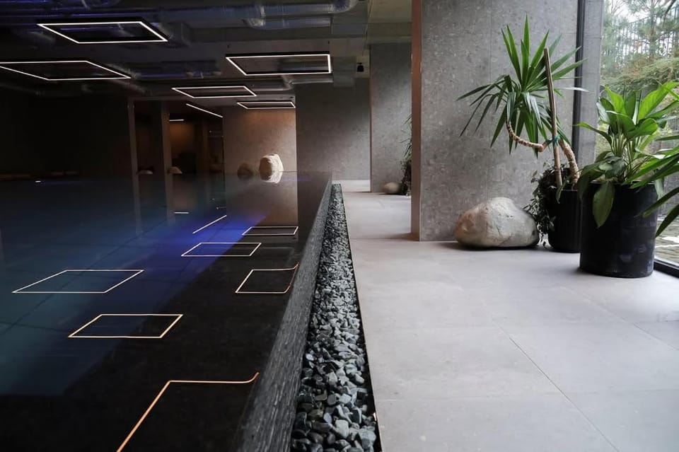Spa and wellness centre/facilities, Swimming pool