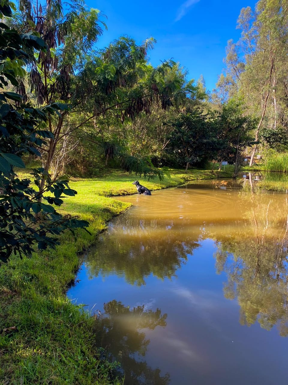Natural landscape, Lake view