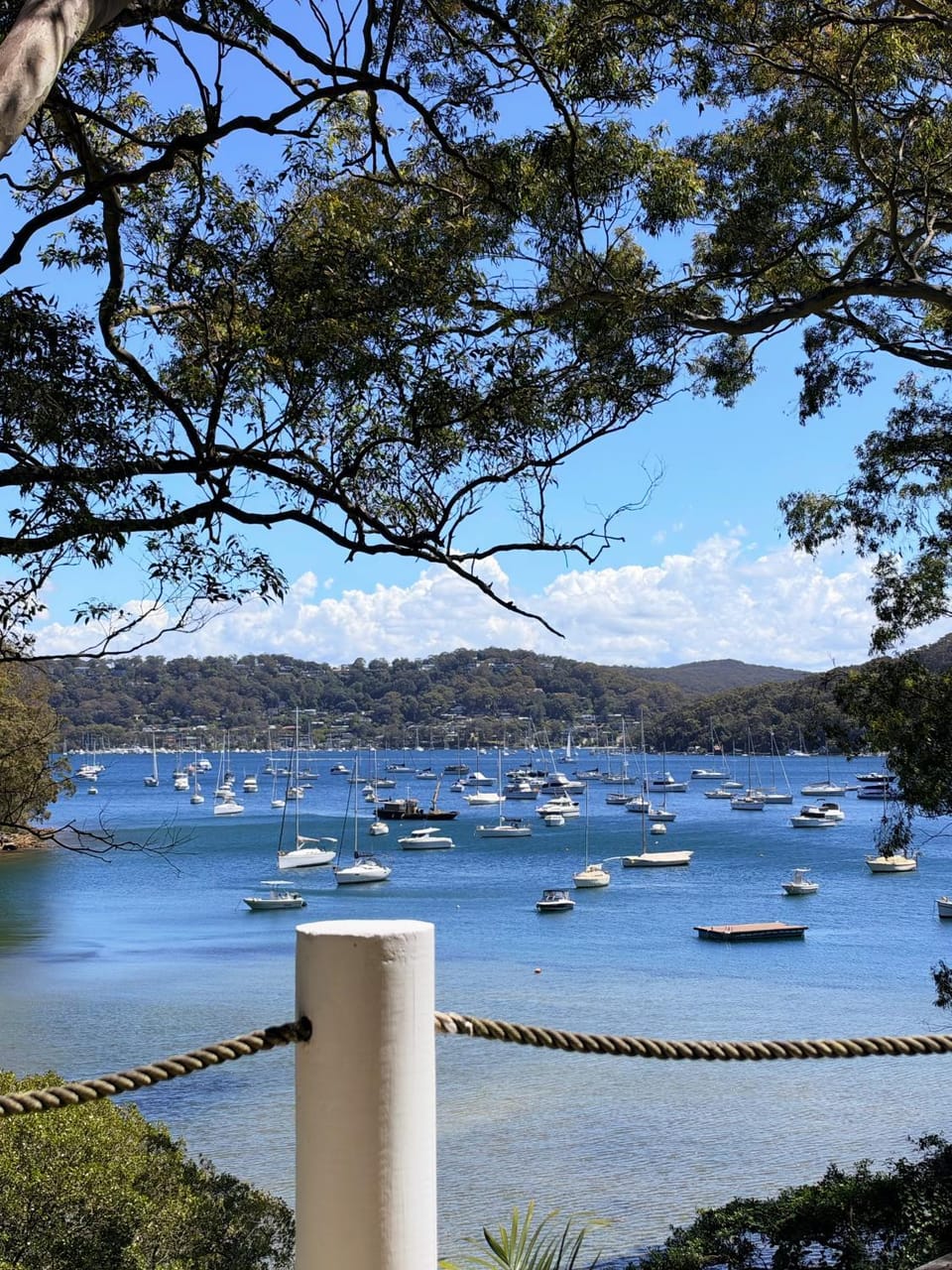 Sydney Northern Beaches Pitterwater Waterfront Holiday House Avalon Beach - Clareville House in Pittwater Council