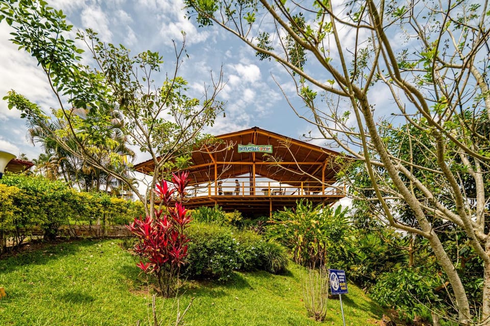 Natural landscape, Game Room, Living room, Garden view