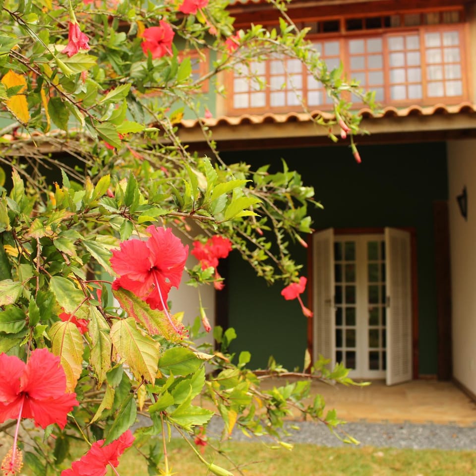 Day, Garden