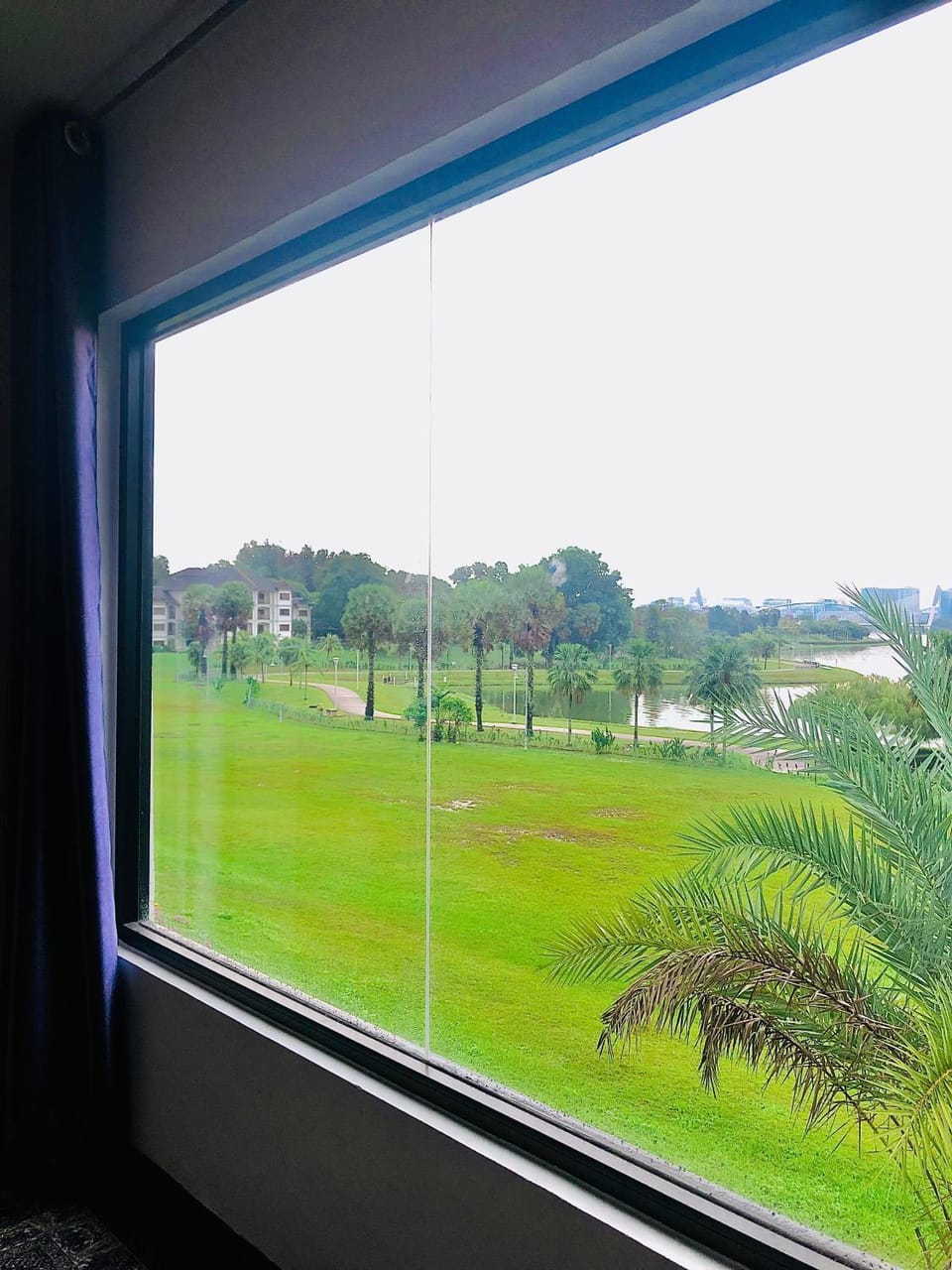 Day, Natural landscape, Garden view