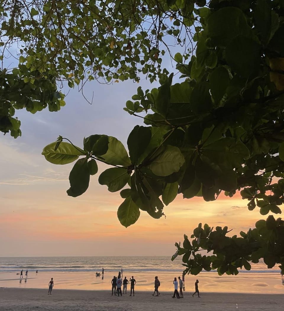 12 Monks - Beachfront Hostel Hostel in Goa, India