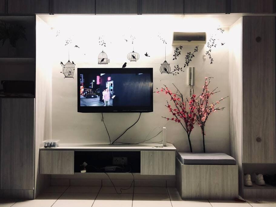 TV and multimedia
