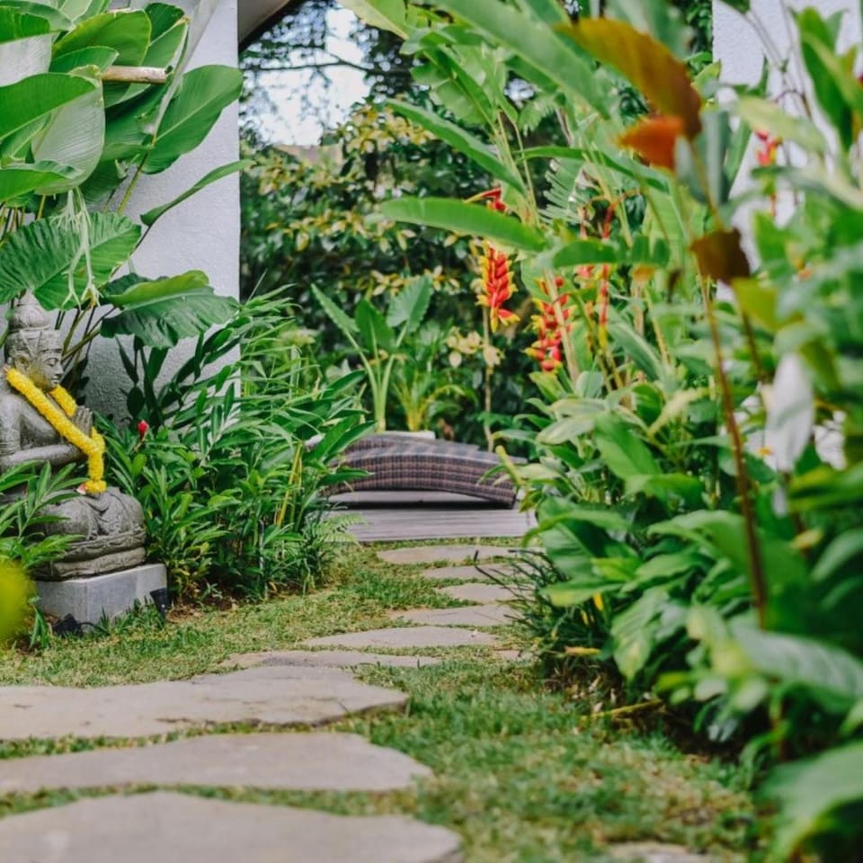 Day, Garden, Garden view