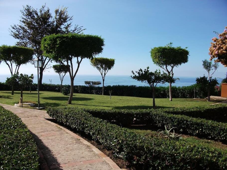 Garden, Garden view