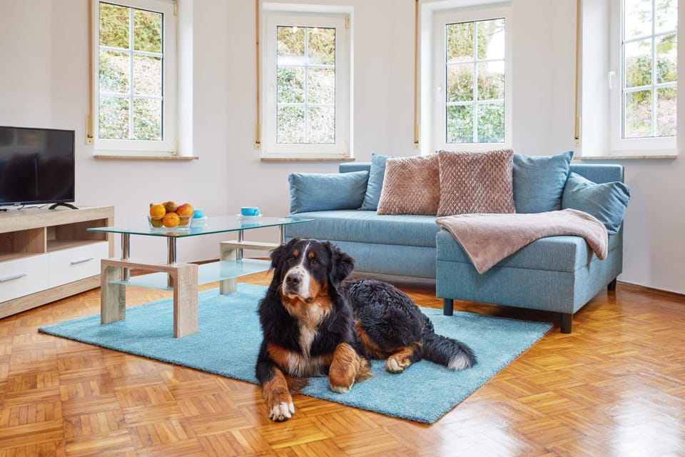 Property building, Living room