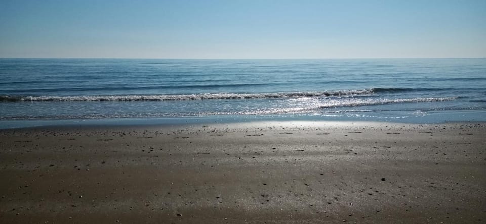 LA NATURA AL MARE Apartment in Cavallino-Treporti