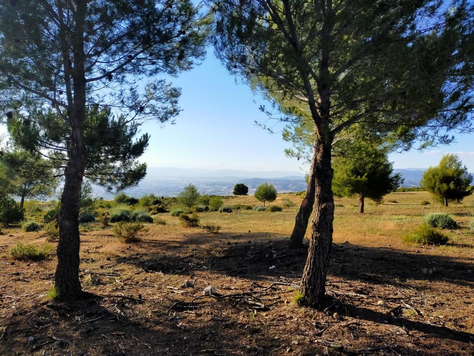 Natural landscape