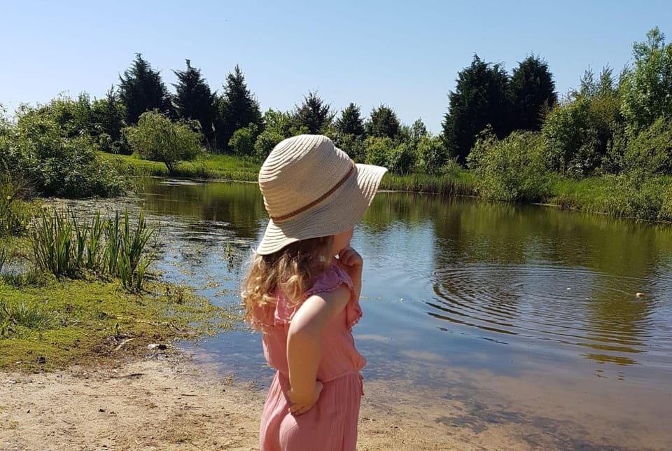 Spring, Day, Natural landscape, Guests, Lake view, Swimming pool