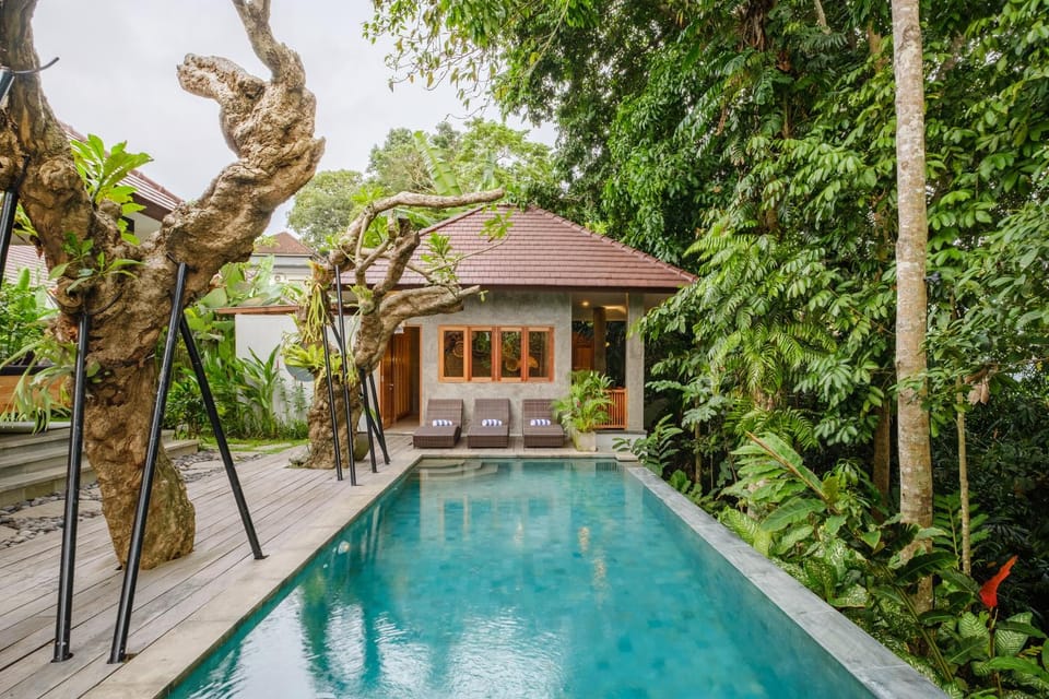 Property building, Patio, Day, Natural landscape, Garden, Garden view, Pool view, Swimming pool, sunbed, towels