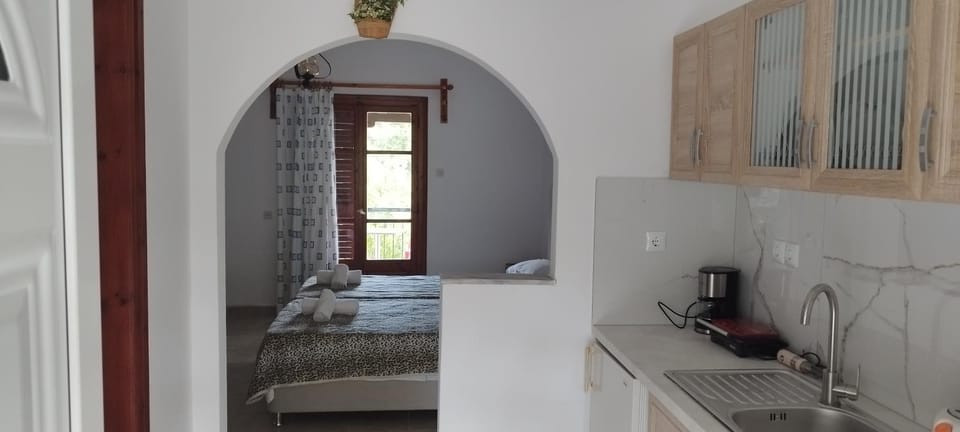 Kitchen or kitchenette, kitchen, kitchen