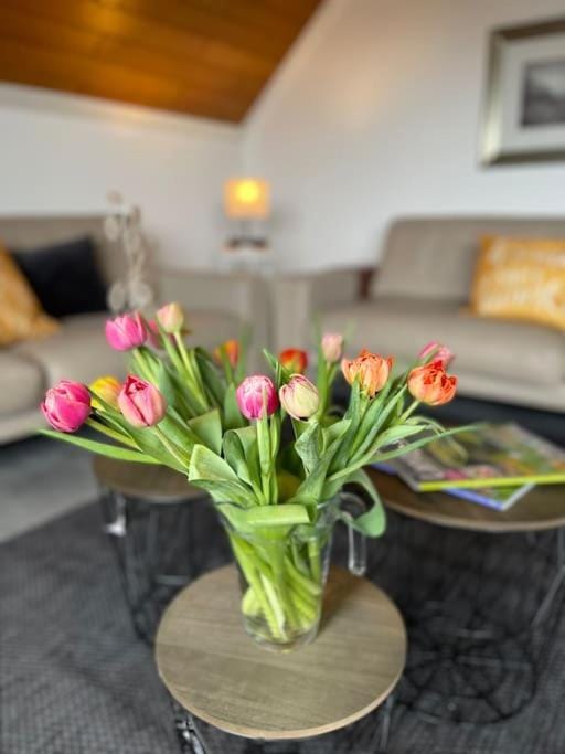 Ferienwohnung Sofie Apartment in Rhein-Hunsrück-Kreis