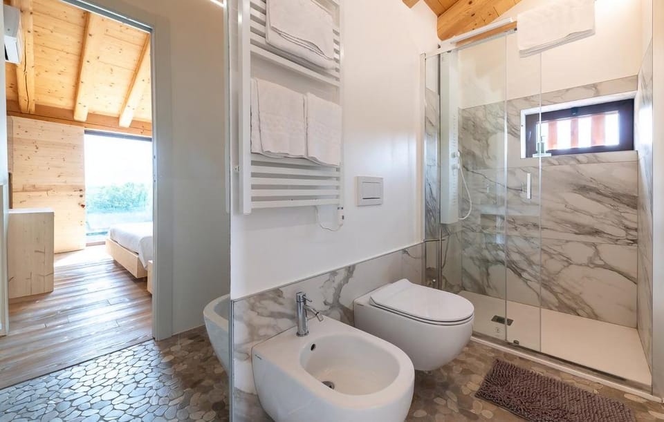 Shower, Toilet, Bathroom, bidet