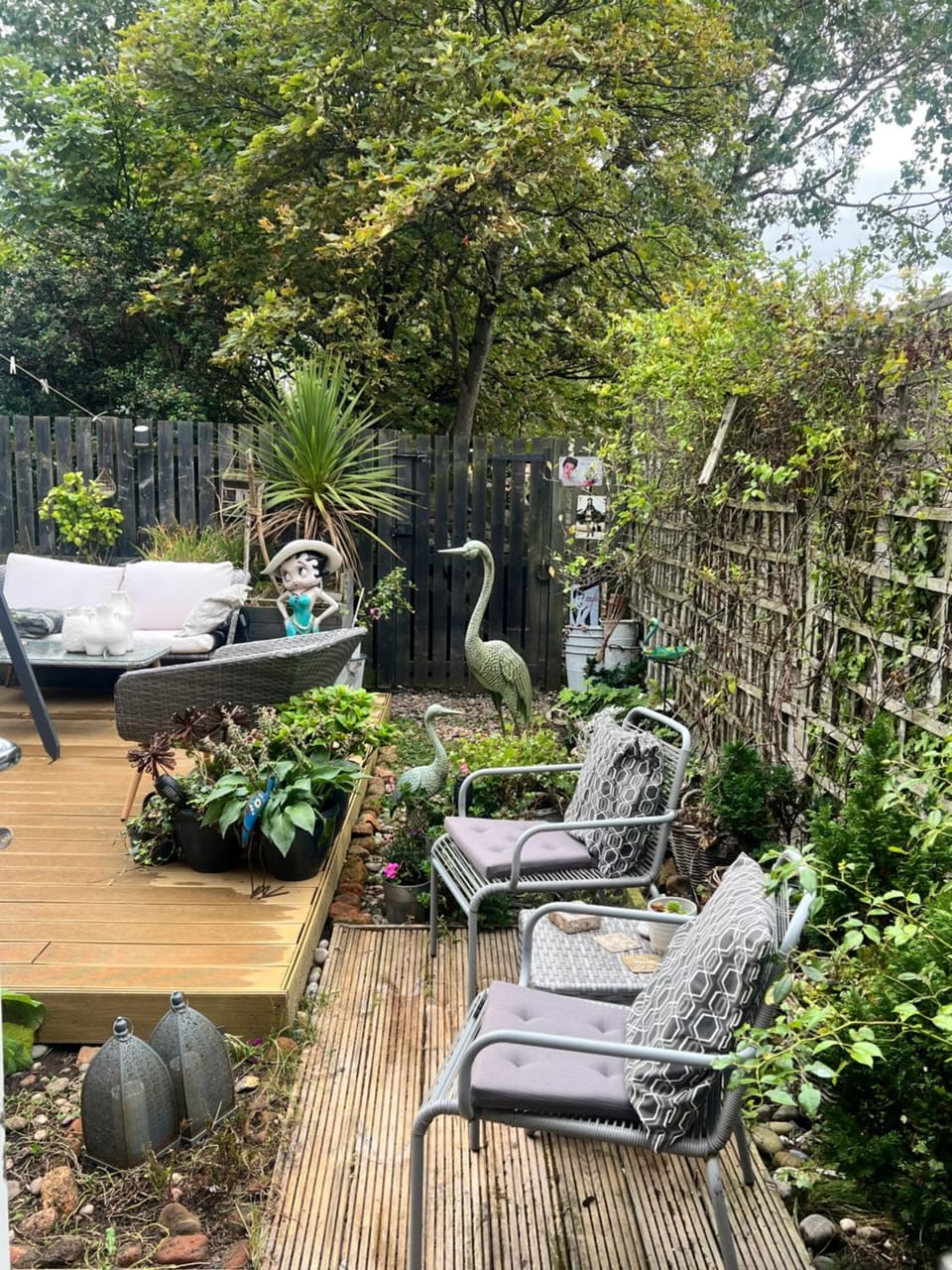 Garden view
