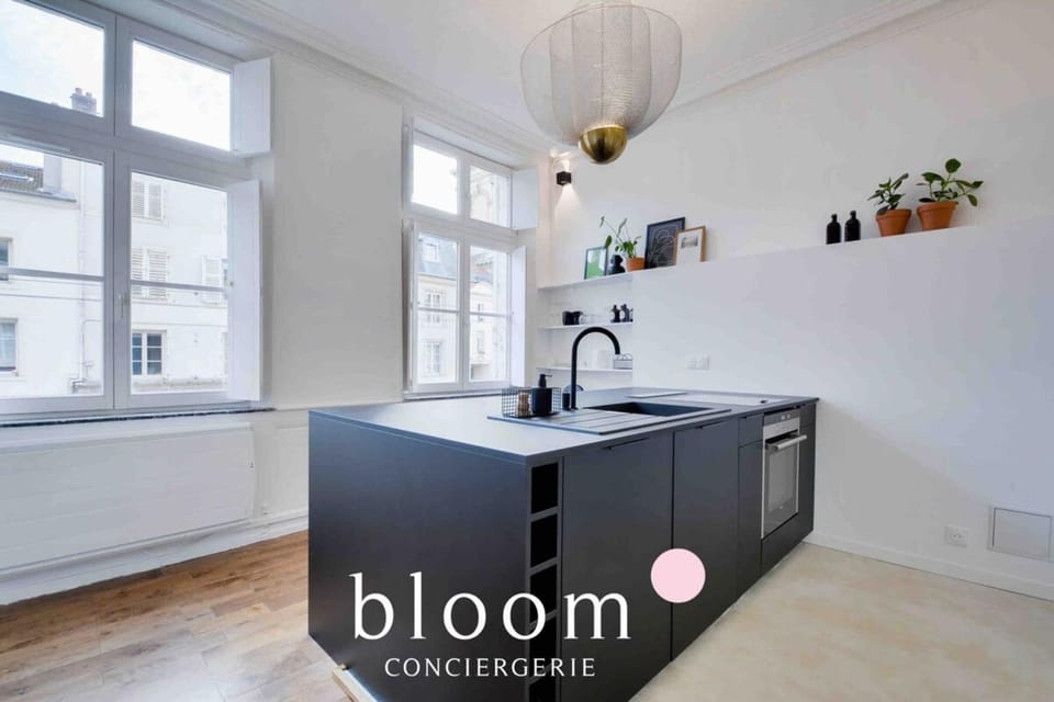 Le Saint Georges Appartement de Standing Apartment in Nancy