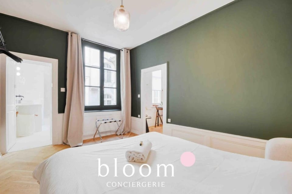 Le Raugraff - Charme et confort en plein coeur de Nancy Apartment in Nancy