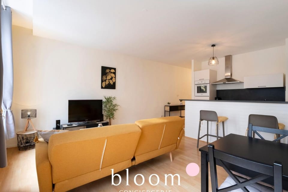 Le Prestige Stanislas 65m2 tout équipé Apartment in Nancy