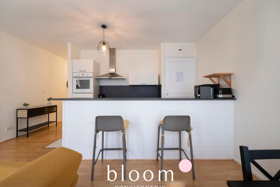 Le Prestige Stanislas 65m2 tout équipé Apartment in Nancy