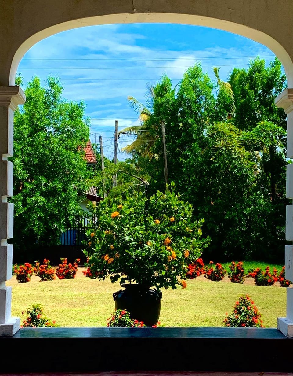 Garden view