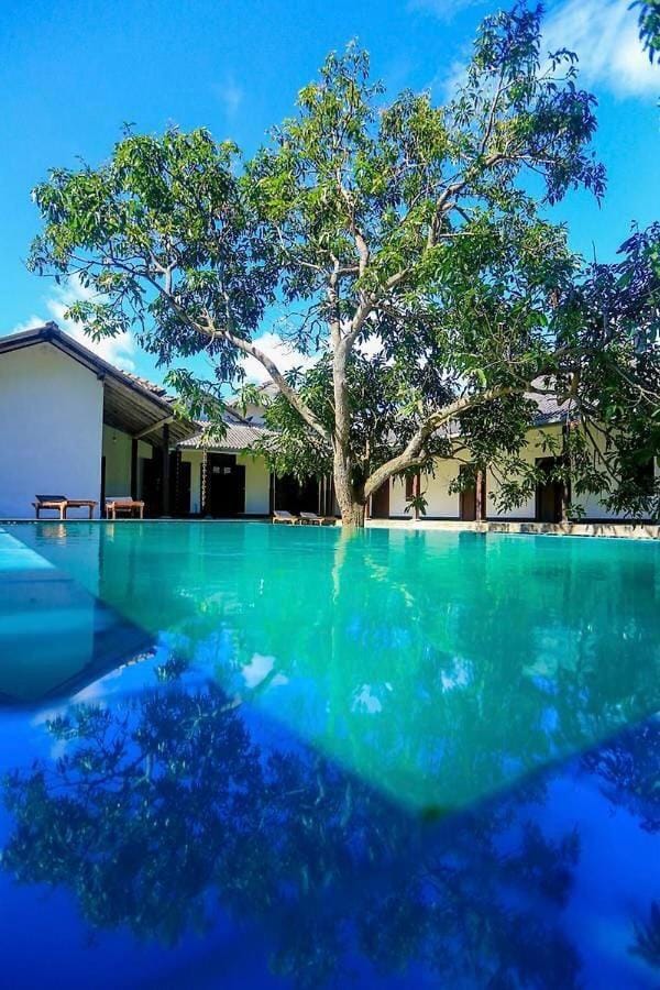 Natural landscape, Garden view, Swimming pool