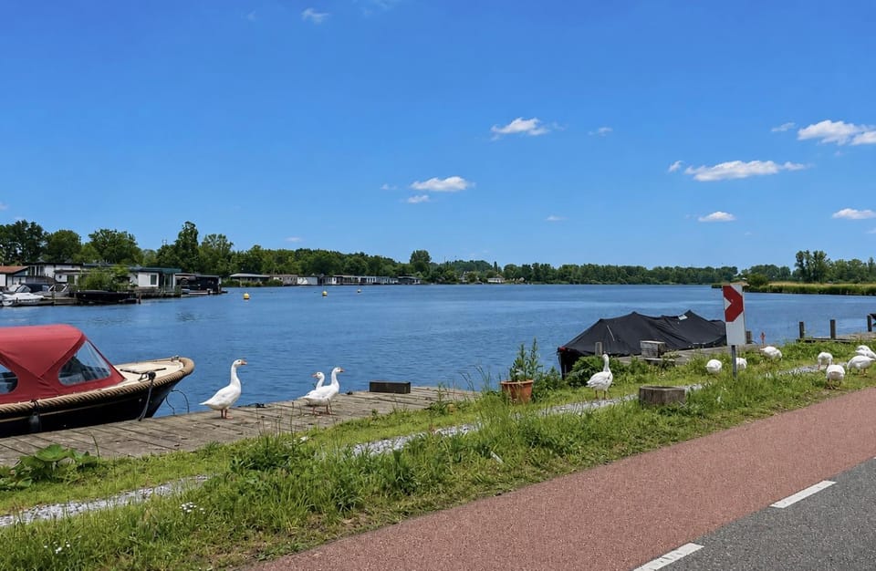 Cozy family chalet with spacious garden in the nature between Amsterdam Haarlem and Schiphol Airport House in Haarlem