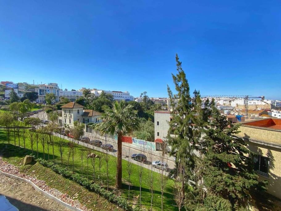 Spring, Natural landscape, Bird's eye view, Garden, City view