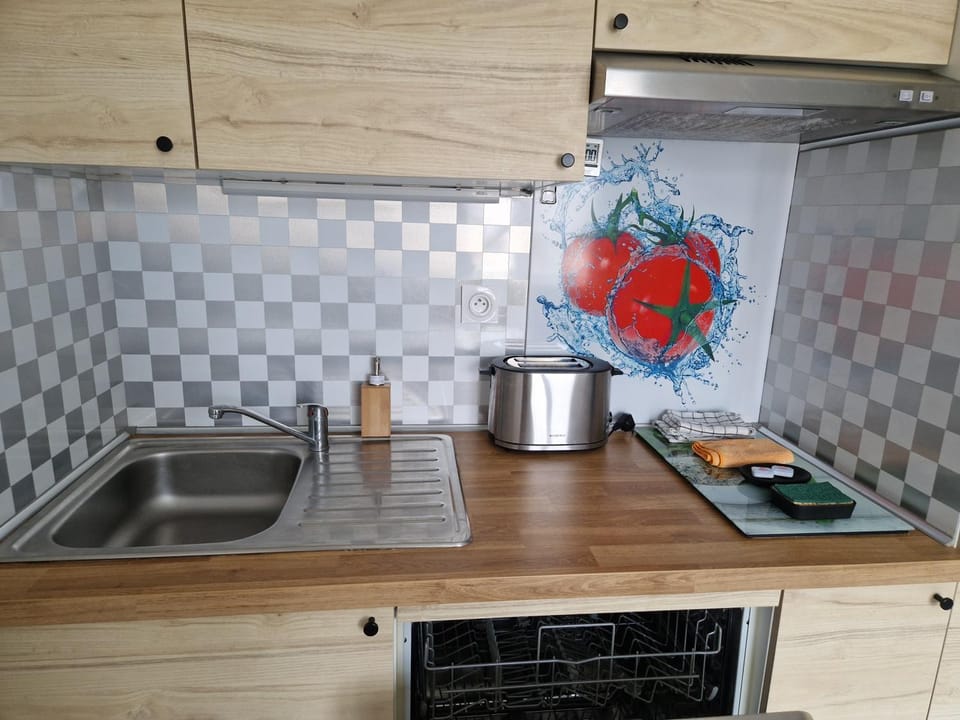 Kitchen or kitchenette, minibar, pet friendly, stove, toaster