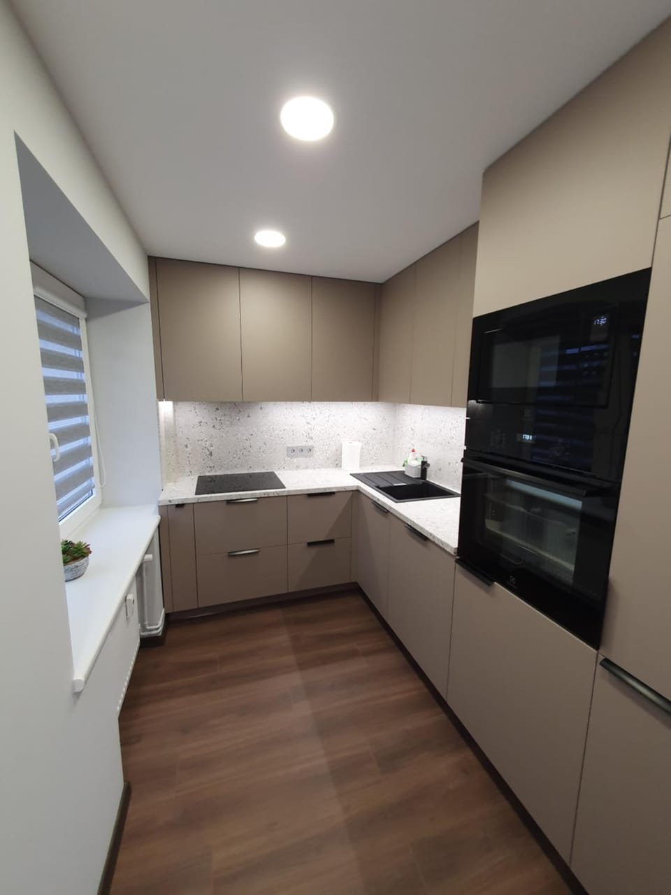 Kitchen or kitchenette, dishwasher, minibar, pet friendly, stove