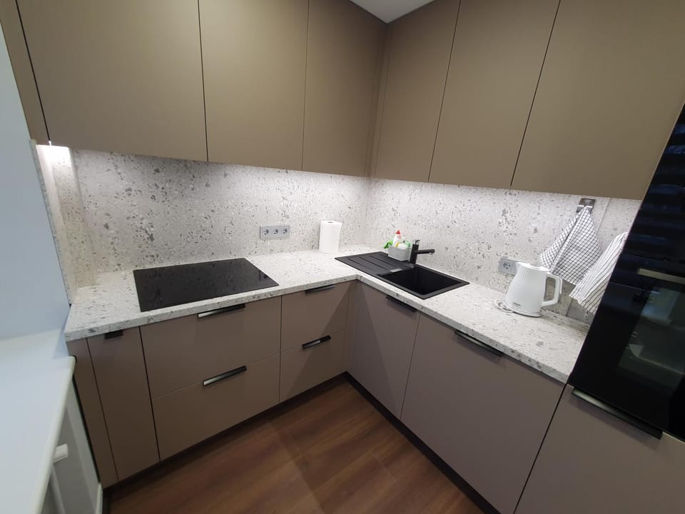 Kitchen or kitchenette, dishwasher, minibar, pet friendly, stove