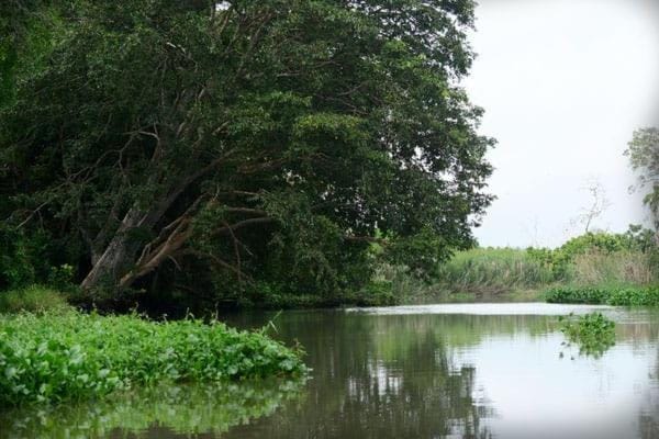 Sea Face Rest Hambantota Vacation rental in Southern Province