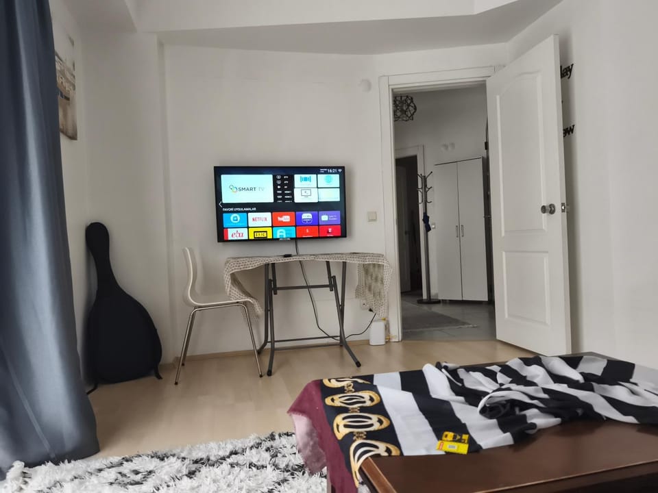 TV and multimedia