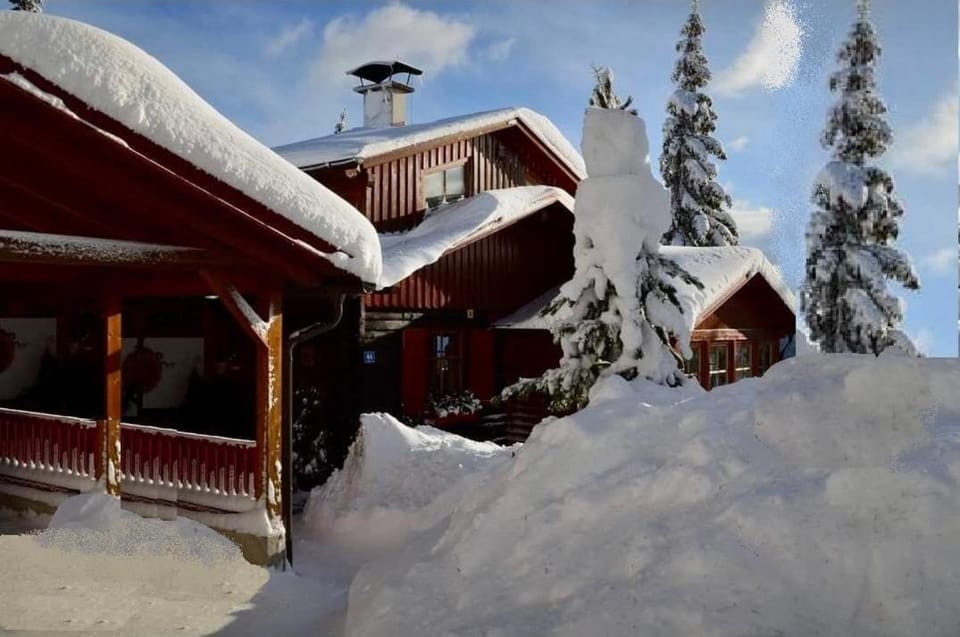 Property building, Natural landscape, Winter