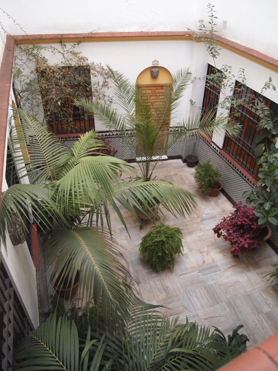 Garden view