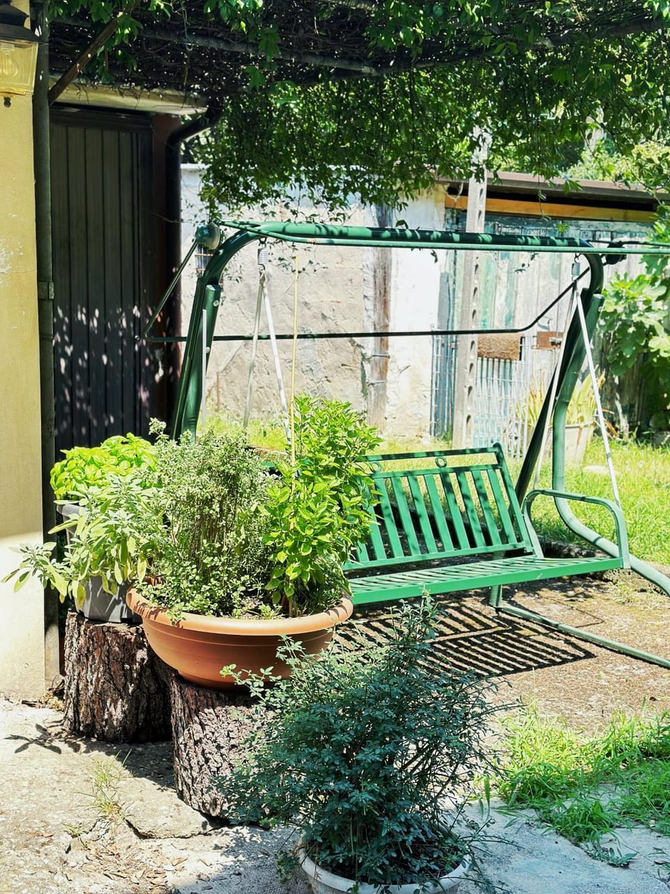 Spring, Day, Garden, Garden view, Garden view