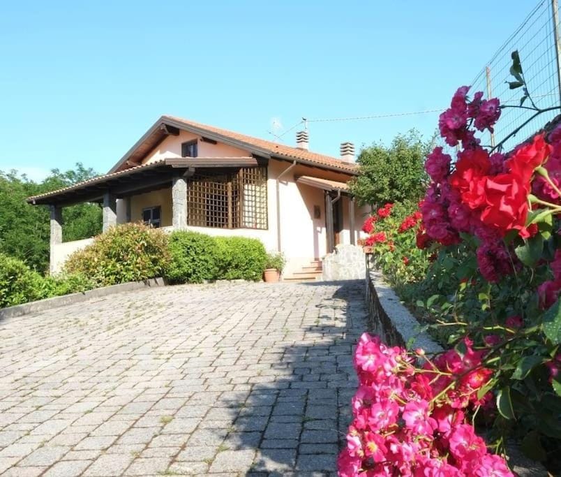 Property building, Spring, Day, Garden view