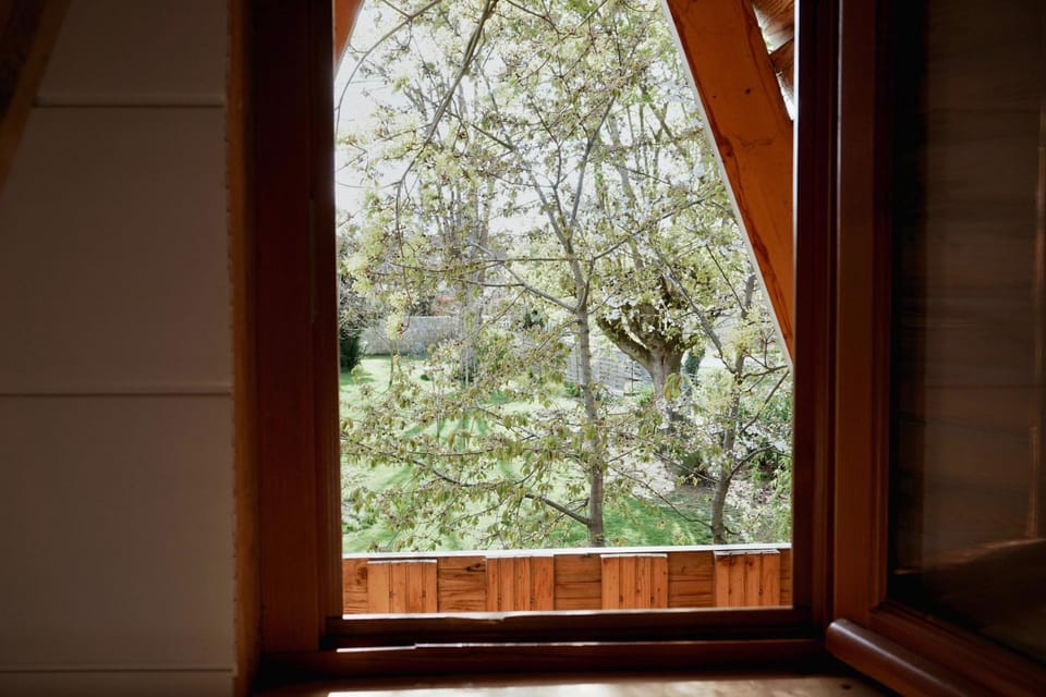 Spring, Day, Natural landscape, Garden, Garden view