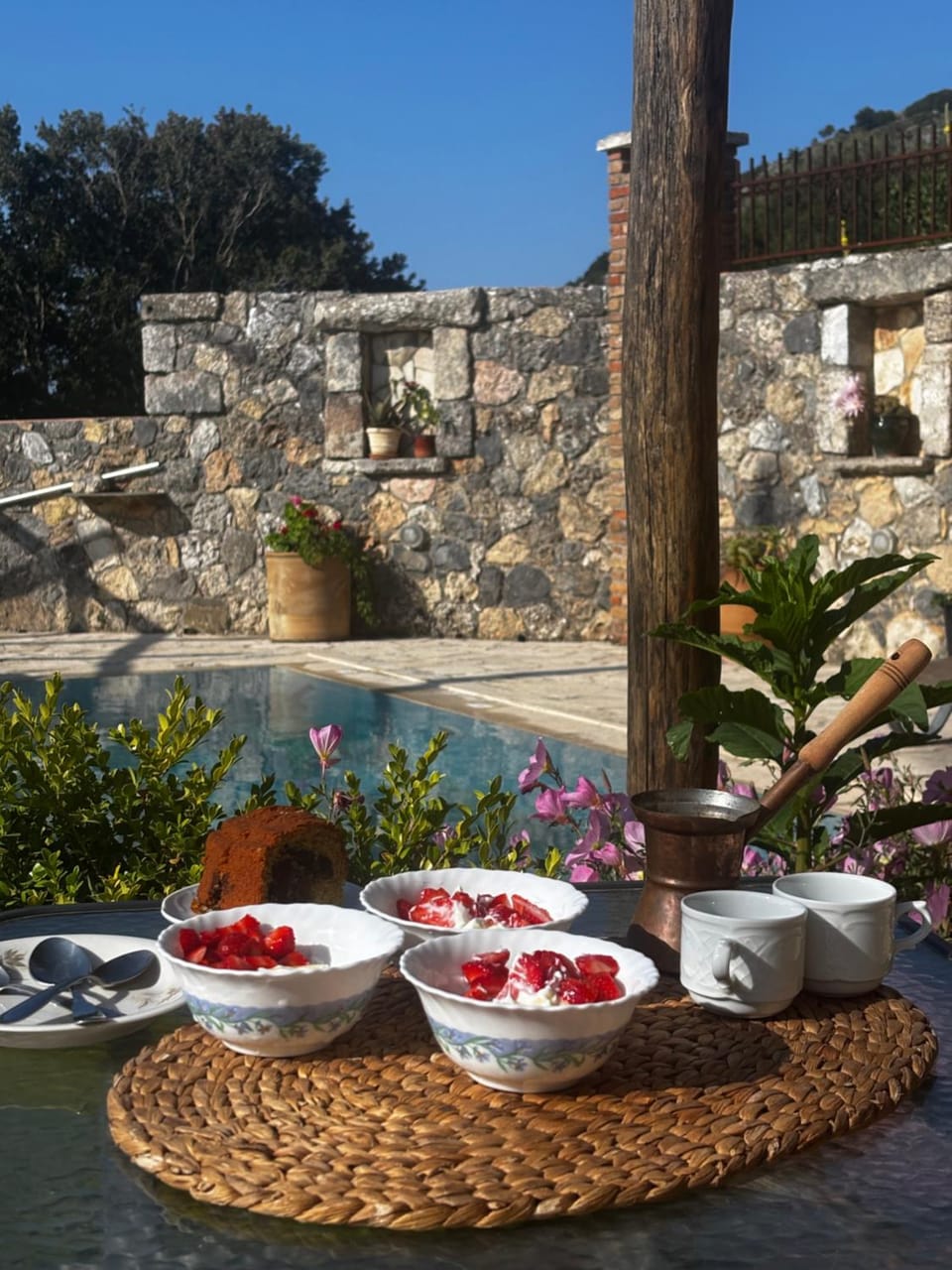 Traditional Villa with pool in Sfakia Apartment in Crete