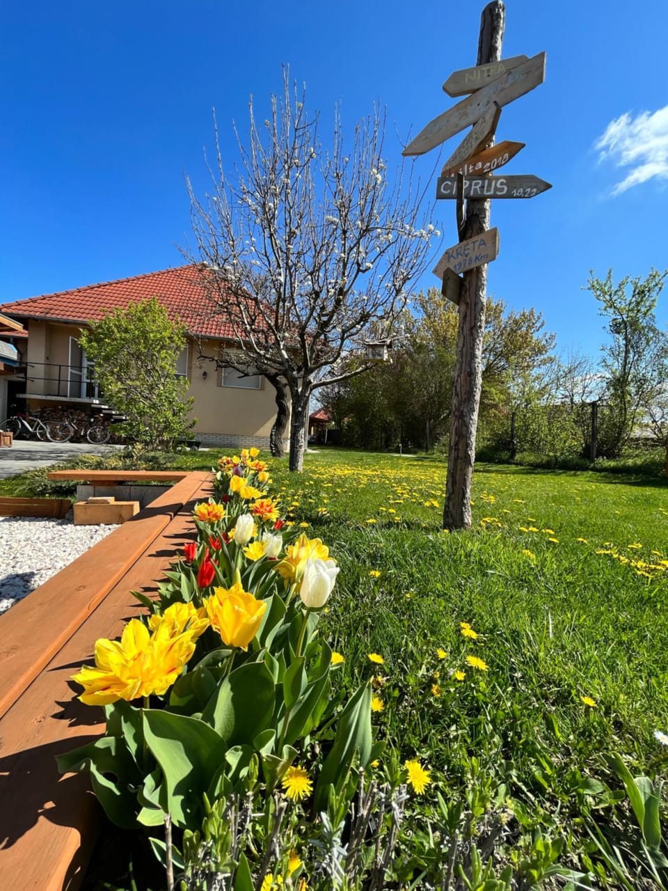 Spring, Natural landscape, Garden, Garden view
