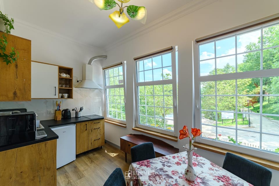 Kitchen or kitchenette, Dining area, Lake view, stove