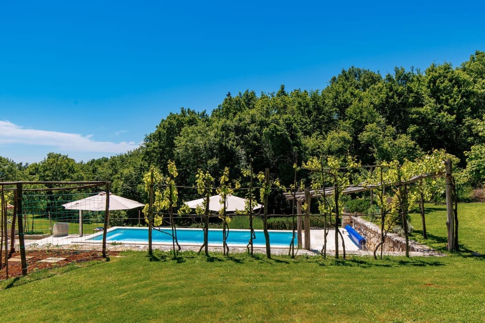 Pool view
