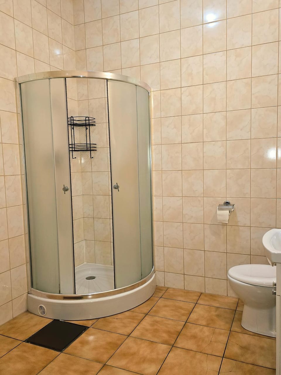 Shower, Toilet, Bathroom, Photo of the whole room