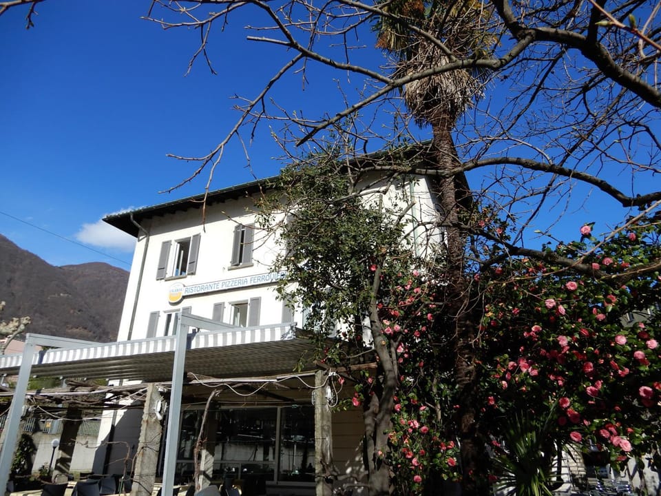 Property building, Natural landscape